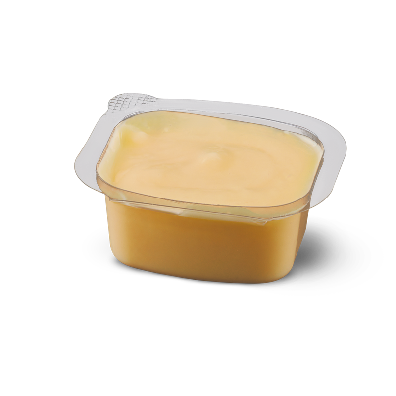 Garlic Mayo Dip
